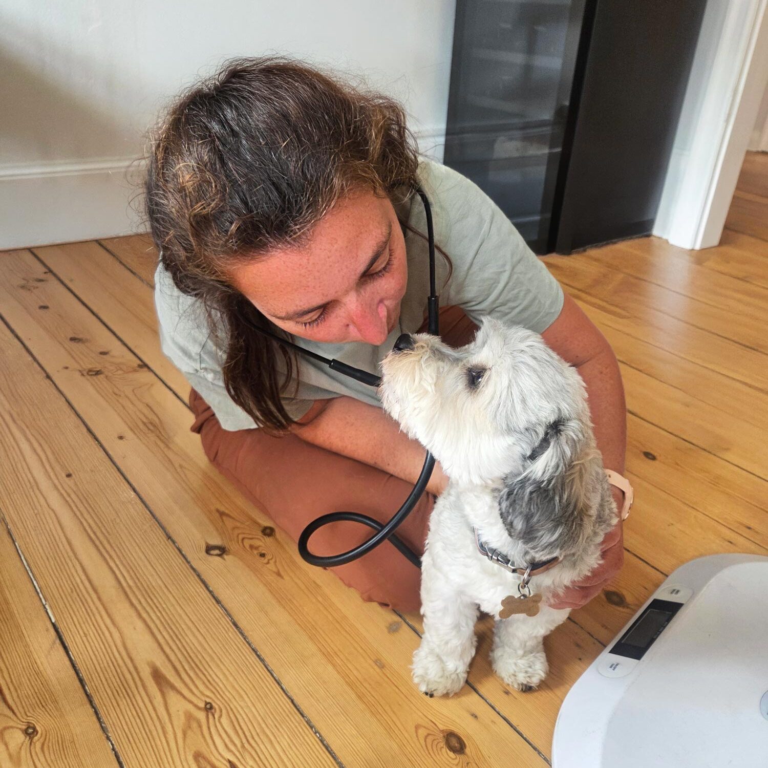 natali-undersogelse-hund